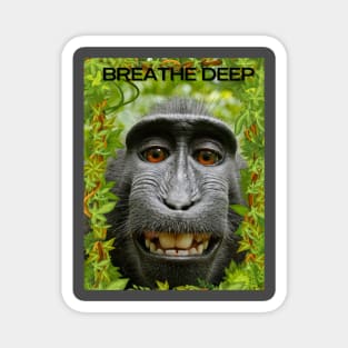 Breathe deep with chillin gorilla! Magnet