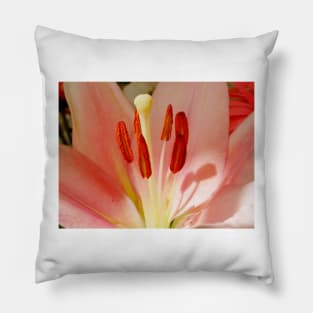 lily stamens Pillow