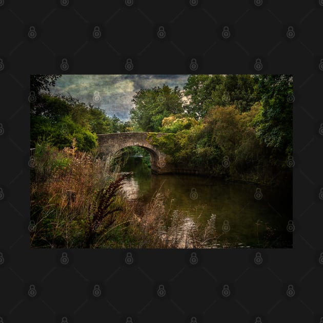 The Bridge Over The Thames At Culham by IanWL