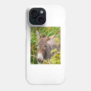 Donkey Phone Case