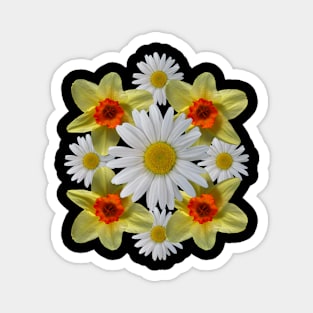 daisies floral bloom daisy spring daffodils blossom flowers Magnet