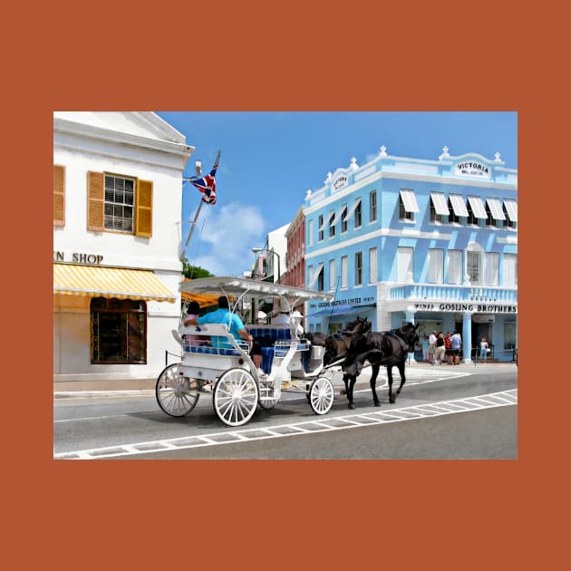 Hamilton Bermuda - Carriage Ride by SusanSavad