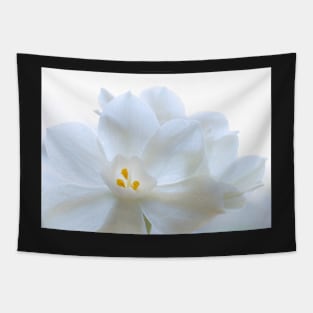 White Blooms Tapestry