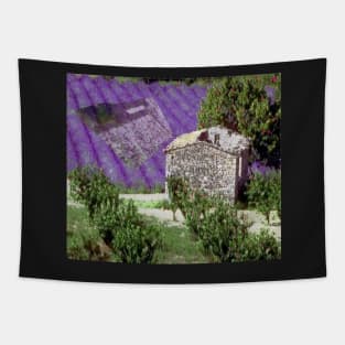 Little farmhouse in the provence, ruine. Tapestry