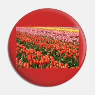 Tulips, nature, gifts, Washington State, Floral Rainbow Pin