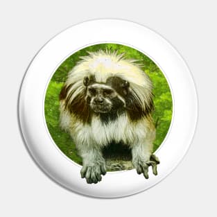 Cotton-top tamarin Pin