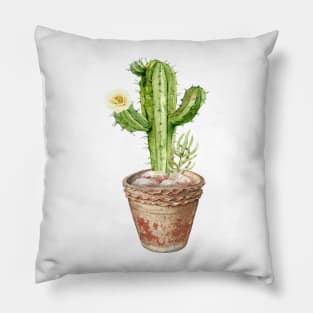 Hand painted Watercolor Cactus in Terracotta pot Pillow