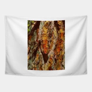 Wood texture design Tapestry