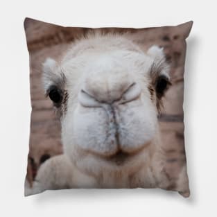 Two funny camels Pillow