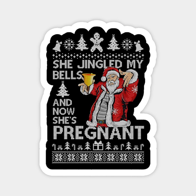 She Jingled My Bells And Now She's Pregnant, Funny Christmas For Dad Magnet by SloanCainm9cmi