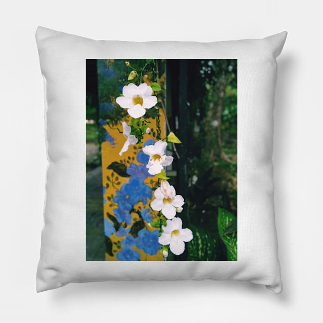 flower, bengal clockvine, thunbergia grandiflora, nature, garden, floral, flowers, purple, wagnerps, skyflower, yellow, evergreen, bengal trumpet, thunbergia, clockvine Pillow by souvenirscape