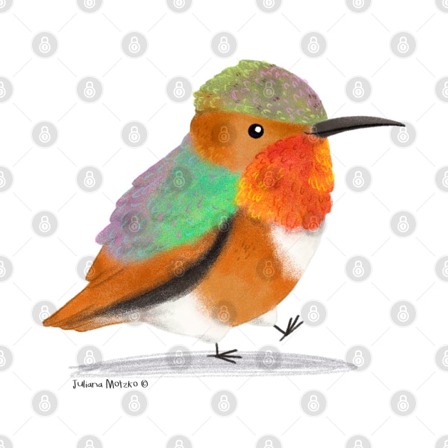 Allens Hummingbird by julianamotzko