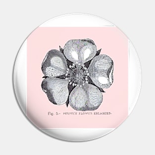 Figure 5 - Perfect Flower, Enlarged on pink background Pin