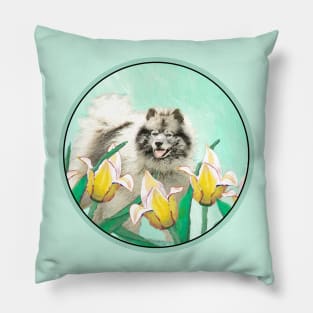 Keeshond in Tulips Pillow