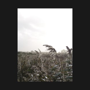 Fishbourne Reeds - a windy day on the coast near Chichester, Sussex, UK T-Shirt