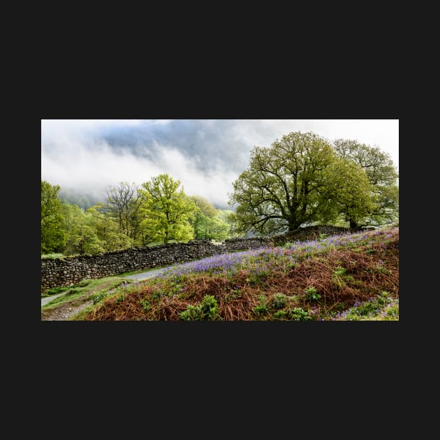 Walking down to Rydal by jldunbar