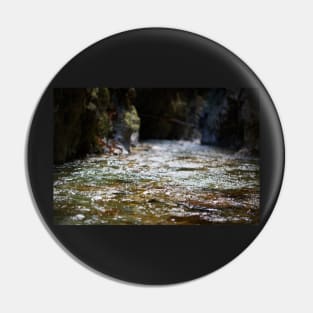 River in a canyon Pin