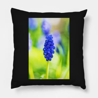 Single blue grape hyacinth Pillow