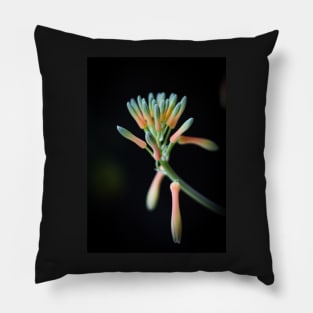 Aloe Vera Flower Pillow