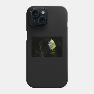 Inside Cathedral Cavern Phone Case