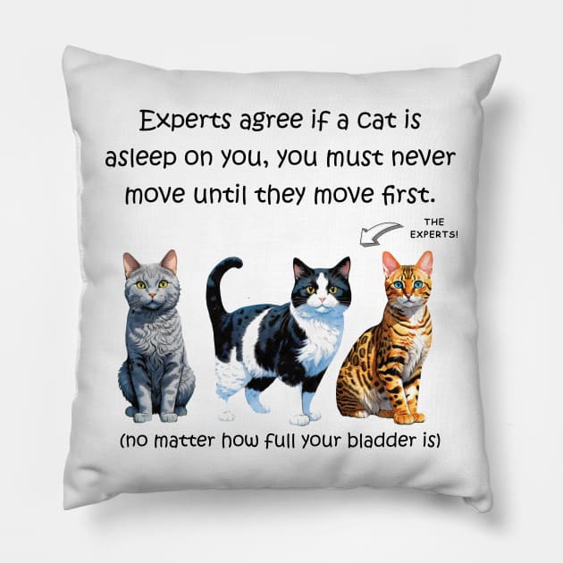 Experts agree if a cat is asleep on you, you must never move until they move first - no matter how full your bladder is - funny watercolour cat design Pillow by DawnDesignsWordArt
