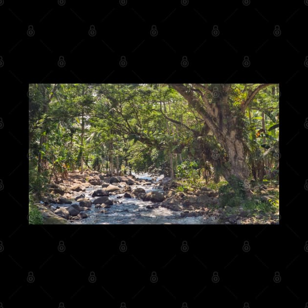 Mountain Stream, Jasaan, Misamis Oriental, Mindanao, Philippines by Upbeat Traveler