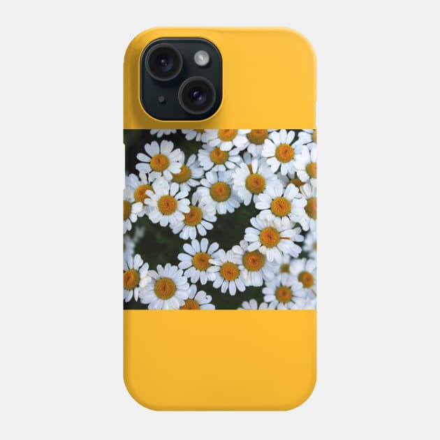 Daisies Phone Case by Rob Johnson Photography