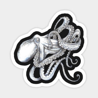 Octopus, a tangle of tentacles. Magnet