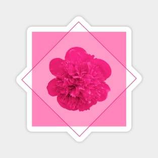 Pink Peony Flower in a Diamond Design Magnet