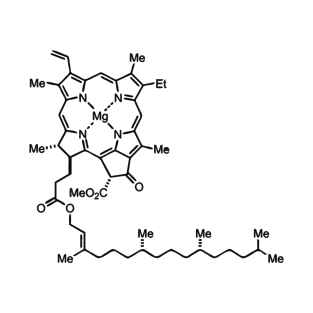 Chlorophyll T-Shirt