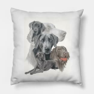 Weimaraner Medley Pillow