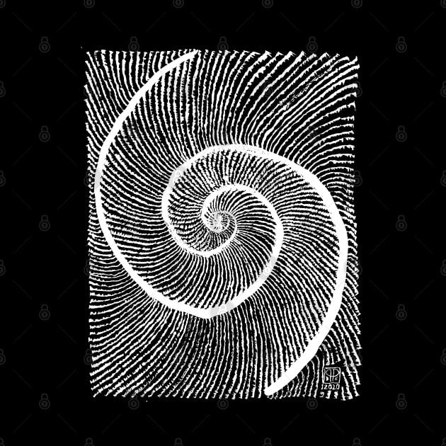 White double shell Fibonacci spiral golden ratio by Pragonette