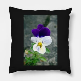 The Wild Pansy Pillow