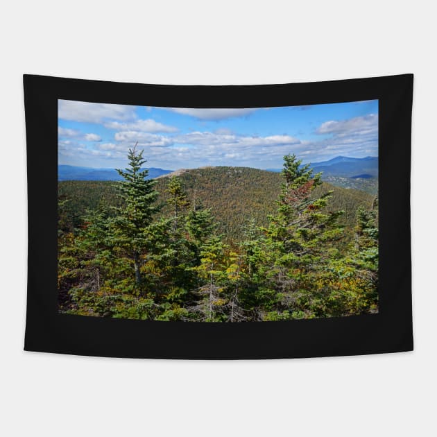 Cascade Mountain Peak as seen from Porter Peak Adirondacks Tapestry by WayneOxfordPh