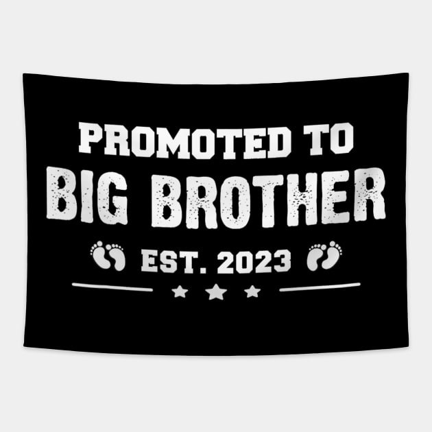 Finally Promoted To Big Brother 2023 Tapestry by cloutmantahnee