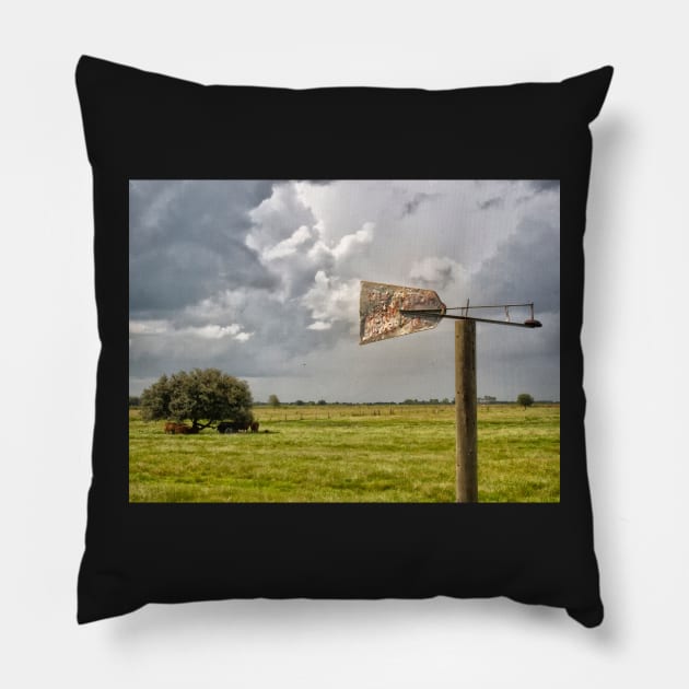 Wind Vane Pillow by joesaladino