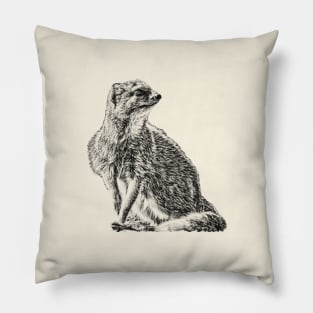 Yellow mongoose Pillow