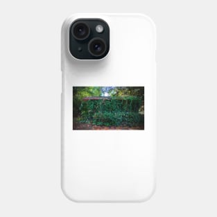 Hidden Shed Phone Case