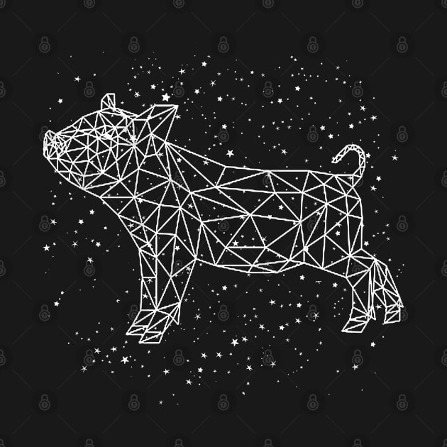 Pig Chinese Zodiac Astrological Sign Horoscope by Mila46