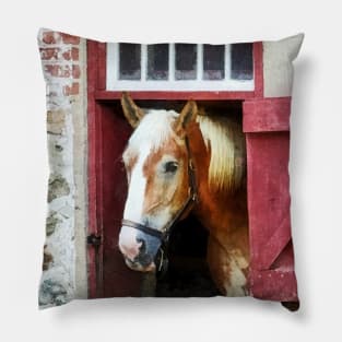 Horses - Palomino by Barn Door Pillow