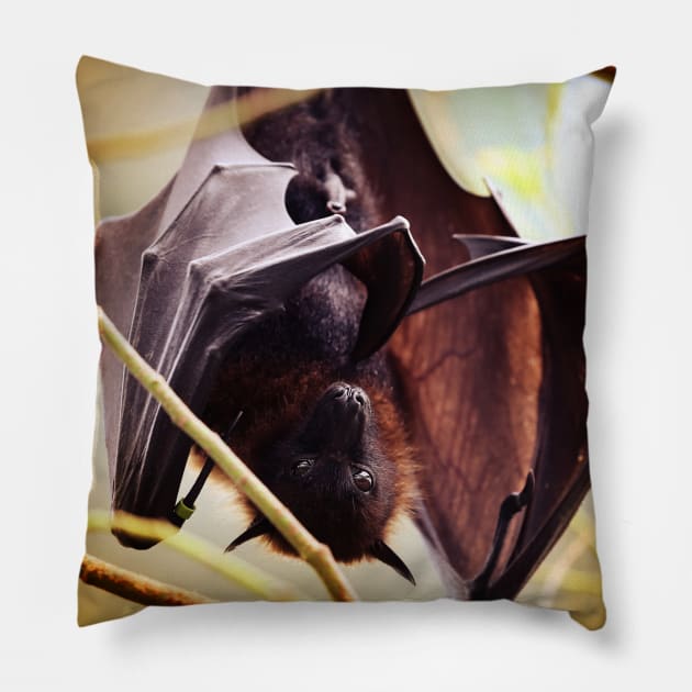 bat Pillow by hottehue