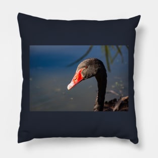 Head and neck of Black swan. Pillow