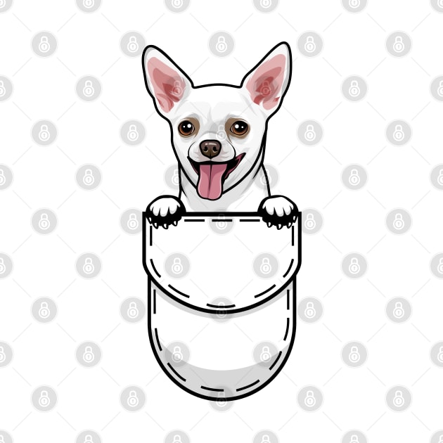 Funny Chihuahua Pocket Dog by Pet My Dog