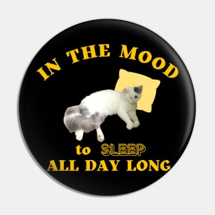 in the mood to sleep all day long Pin