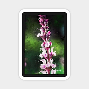 Pink Flowers Watercolour 2 Magnet