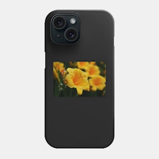 Hemerocallis 'Stella d'Oro'  Daylilies Phone Case