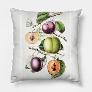 Hand drawn plums Pillow