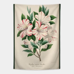 Azalea indica bealii by Charles Antonine Lemaire Tapestry