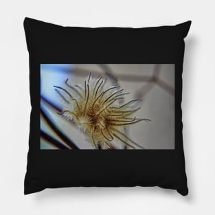 Clematis Seed Head Pillow