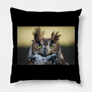 Great Horned Owl portrait Pillow